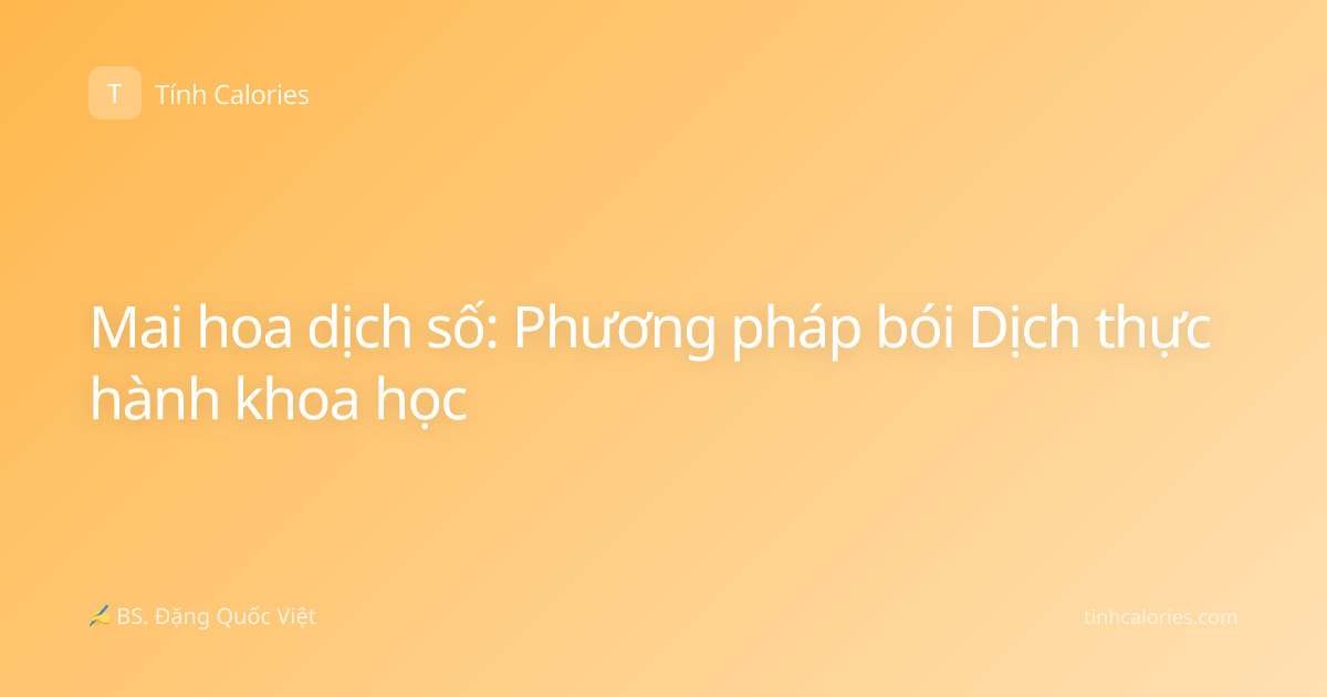 Mai hoa dịch số: Phương pháp bói Dịch thực hành khoa học